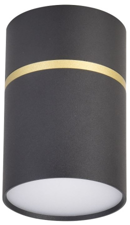 картинка Накладной светильник Dunia 3068-1C от магазина BTSvet