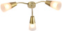 картинка Потолочная люстра Escada Aquilegia 1100/3P Gold от магазина BTSvet