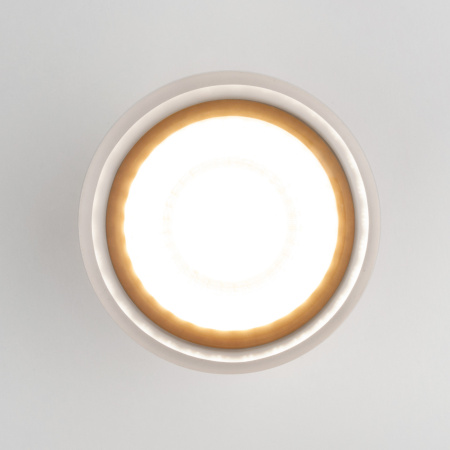 картинка Потолочный светильник уличный светодиодный Light LED 35140/H от магазина BTSvet