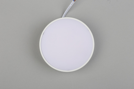 картинка Потолочный светильник светодиодный Evon APL.0114.09.12 от магазина BTSvet