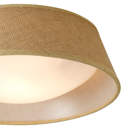 картинка Потолочный светильник Sabina 6414 от магазина BTSvet