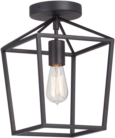 Потолочный светильник V3766-1/1PL