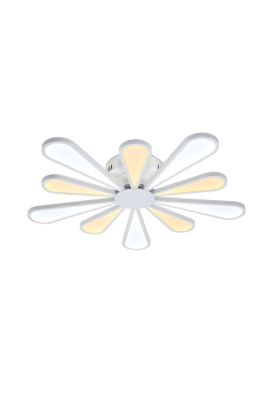 Потолочная светодиодная люстра Miracoli 202.10 LED