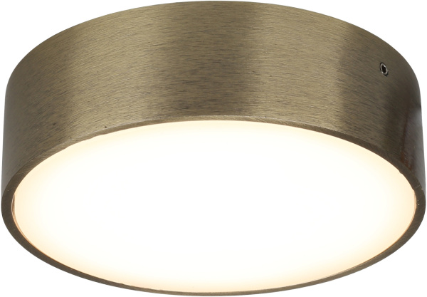 Потолочный светильник светодиодный Evon APL.0113.29.12