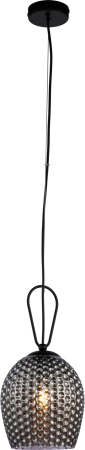 Подвесной светильник Armonia V000085 (11001/1P Black)