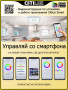 картинка Потолочный светильник светодиодный с голосовым управлением и управлением со смартфона пультом управления регулировкой цветовой температуры и яркости Старлайт Смарт CL703AK81G RGB от магазина BTSvet