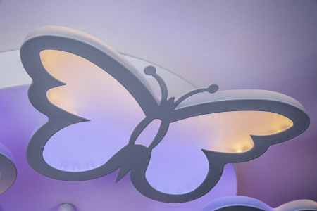 картинка Потолочный светильник светодиодный с пультом регулировкой яркости и цветовой температуры Led 10205/5LED от магазина BTSvet