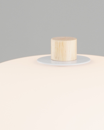 картинка Настольная лампа Cute V10291-TL от магазина BTSvet