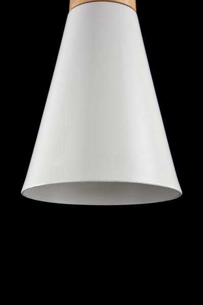 картинка Подвесной светильник Bicones P359-PL-140-W от магазина BTSvet