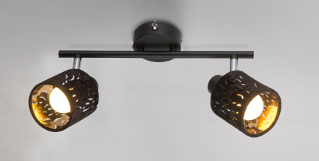 картинка Спот Troy 54121-2 от магазина BTSvet