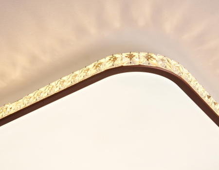 картинка Потолочный светильник светодиодный с пультом регулировкой цветовой температуры и яркости с ночным режимом ORBITAL FF76 от магазина BTSvet