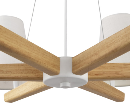 картинка Подвесная люстра Arellano FR8019PL-06W от магазина BTSvet