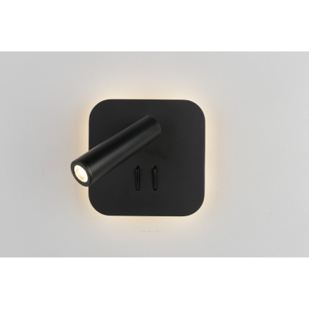 картинка Спот oml-20711-02 от магазина BTSvet