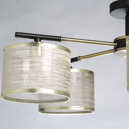 картинка Потолочная люстра Лацио 103013005 от магазина BTSvet