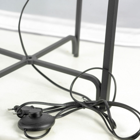 картинка Торшер LSP-0603 от магазина BTSvet