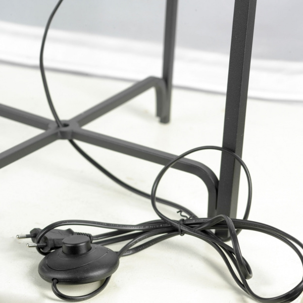 картинка Торшер LSP-0603 от магазина BTSvet