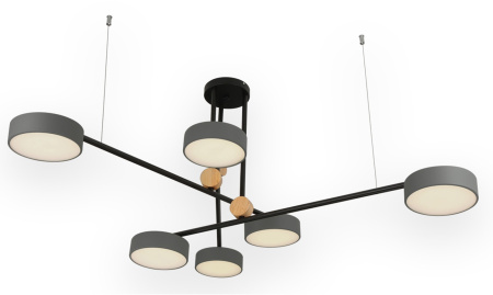 Потолочная люстра светодиодная Рапис 07647-6,16(4000K)