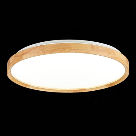 картинка Потолочный светильник светодиодный с регулировкой цветовой температуры Delia SLE201382-01 от магазина BTSvet