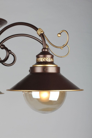 картинка Потолочная люстра OML-50407-05 от магазина BTSvet