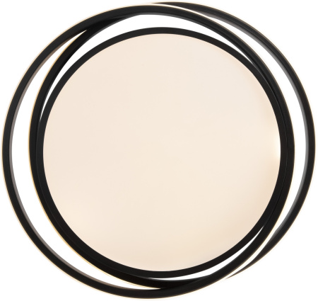 картинка Потолочный светильник светодиодный с пультом Lisoa FR10031CL-L98B от магазина BTSvet