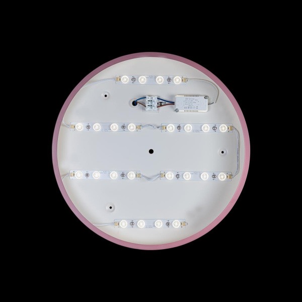 картинка Потолочный светильник светодиодный Axel 10002/24 Pink от магазина BTSvet