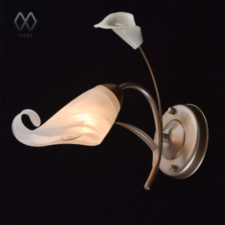 картинка Бра Vostorg 242026601 от магазина BTSvet