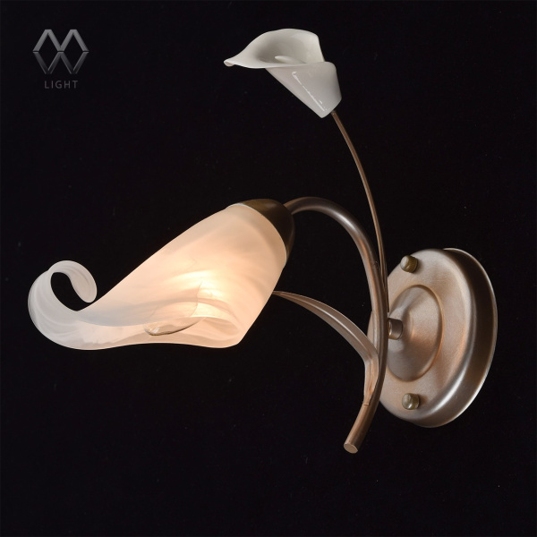 картинка Бра Vostorg 242026601 от магазина BTSvet