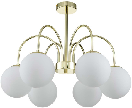 картинка Потолочная люстра на штанге Voga V000325 от магазина BTSvet