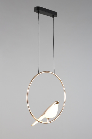 картинка Подвесной светильник светодиодный Astor APL.822.06.10 от магазина BTSvet