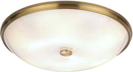 картинка Настенно-потолочный светильник Pelow 4956/6 от магазина BTSvet