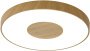 картинка Потолочный светильник светодиодный с пультом регулировкой цветовой температуры и яркости Coin 7562 от магазина BTSvet
