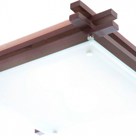 картинка Настенно-потолочный светильник Edison 48324 от магазина BTSvet