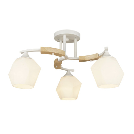 Потолочная люстра Lalio 66587.01.09.03