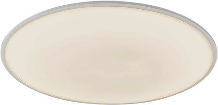 Потолочный светильник Slim 7977