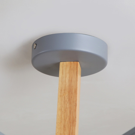 картинка Потолочная люстра на штанге NOA01 от магазина BTSvet