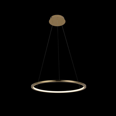 картинка Подвесной светильник светодиодный Ring 10014M от магазина BTSvet