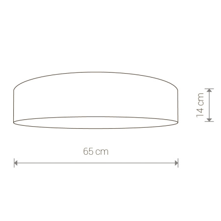картинка Потолочный светильник светодиодный Turda 8955 от магазина BTSvet