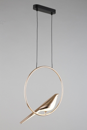 картинка Подвесной светильник светодиодный Astor APL.822.06.10 от магазина BTSvet