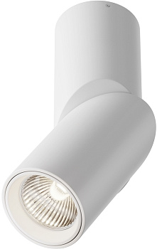 Накладной светильник Maytoni Dafne C027CL-L10W4K