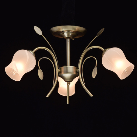 картинка Потолочная люстра Flora 256018103 от магазина BTSvet