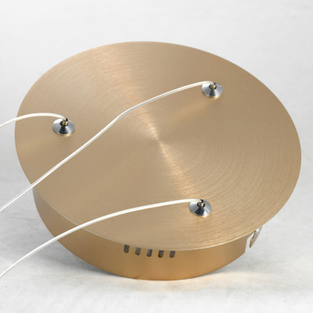 картинка Подвесная люстра светодиодная Ingersoll LSP-8348 от магазина BTSvet