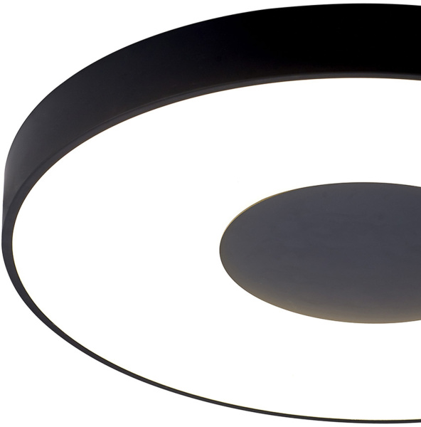 картинка Потолочный светильник светодиодный с пультом регулировкой цветовой температуры и яркости Coin 7561 от магазина BTSvet