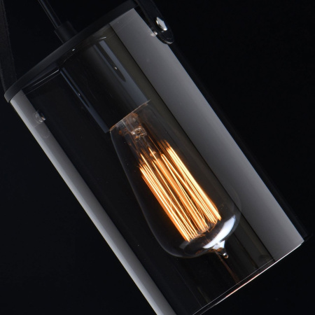 картинка Подвесной светильник Тетро 673014701 от магазина BTSvet