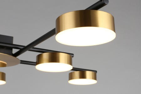 картинка Потолочная люстра на штанге Delayn APL.042.07.56 от магазина BTSvet