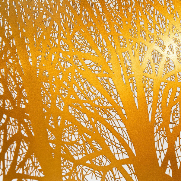 картинка Подвесной светильник Celesta A2769SP-1BK от магазина BTSvet