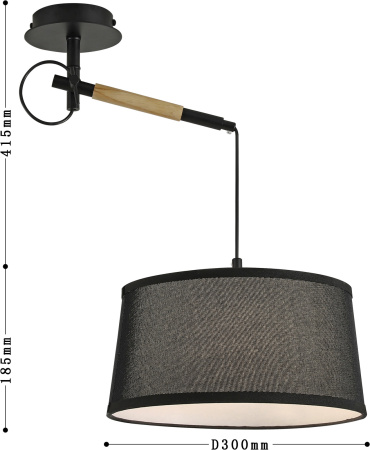 картинка Настенно-потолочный светильник Eureka 3006-1P от магазина BTSvet