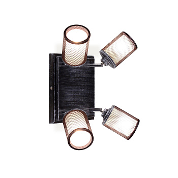 Настенно-потолочный светильник Robin CL535541