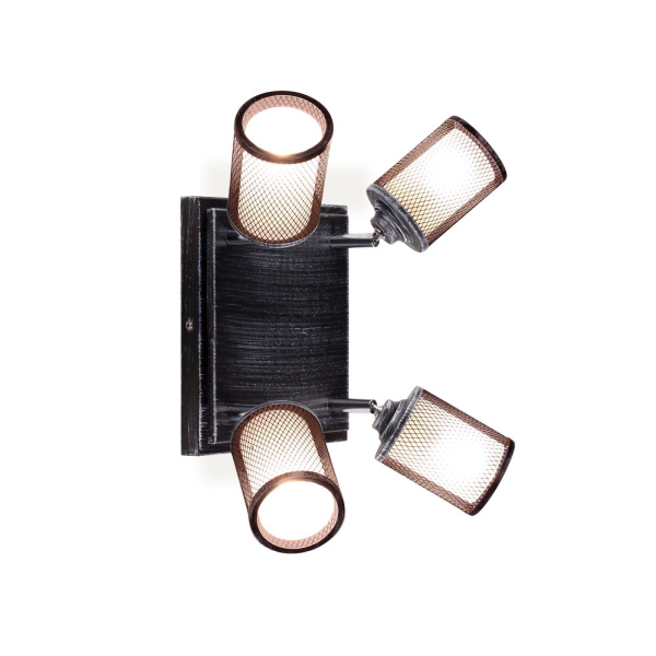 Настенно-потолочный светильник Robin CL535541