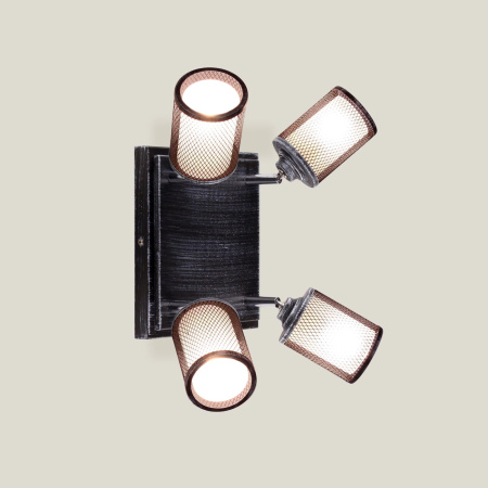 картинка Настенно-потолочный светильник Robin CL535541 от магазина BTSvet