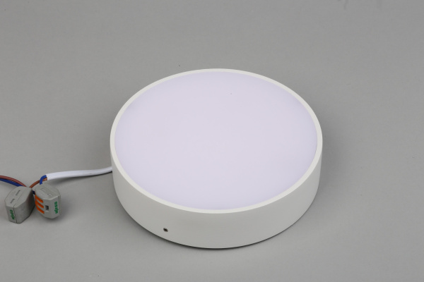 картинка Потолочный светильник светодиодный Evon APL.0113.09.18 от магазина BTSvet